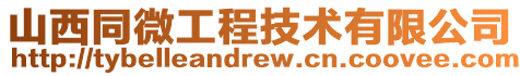 山西同微工程技術(shù)有限公司