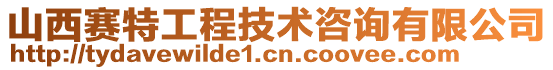 山西賽特工程技術咨詢有限公司