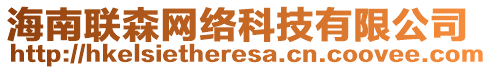 海南聯(lián)森網(wǎng)絡(luò)科技有限公司