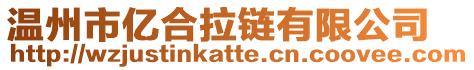 溫州市億合拉鏈有限公司