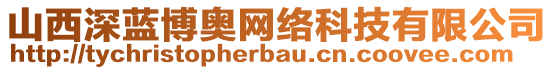 山西深藍(lán)博奧網(wǎng)絡(luò)科技有限公司