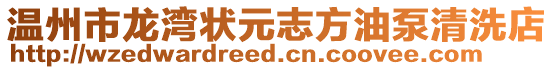 溫州市龍灣狀元志方油泵清洗店