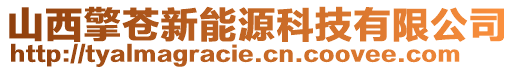 山西擎蒼新能源科技有限公司