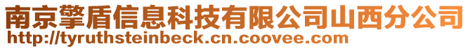 南京擎盾信息科技有限公司山西分公司