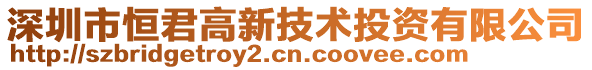 深圳市恒君高新技術投資有限公司