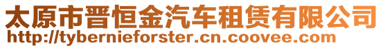 太原市晉恒金汽車租賃有限公司