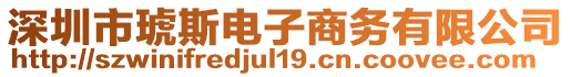 深圳市琥斯电子商务有限公司