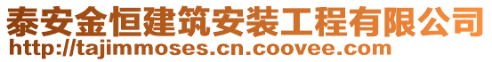 泰安金恒建筑安裝工程有限公司