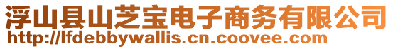 浮山县山芝宝电子商务有限公司