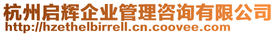 杭州啟輝企業(yè)管理咨詢有限公司