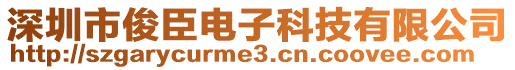 深圳市俊臣電子科技有限公司