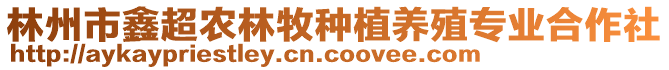 林州市鑫超農(nóng)林牧種植養(yǎng)殖專業(yè)合作社