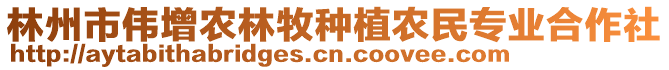 林州市偉增農林牧種植農民專業(yè)合作社