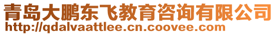 青島大鵬東飛教育咨詢有限公司