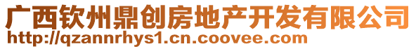 廣西欽州鼎創(chuàng)房地產(chǎn)開發(fā)有限公司