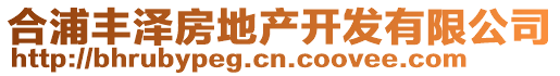 合浦豐澤房地產(chǎn)開發(fā)有限公司