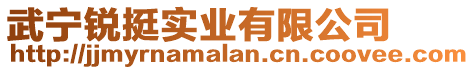 武寧銳挺實業(yè)有限公司