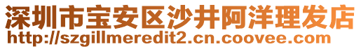 深圳市寶安區(qū)沙井阿洋理發(fā)店