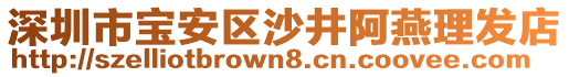 深圳市寶安區(qū)沙井阿燕理發(fā)店