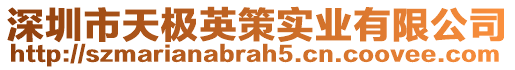 深圳市天極英策實業(yè)有限公司