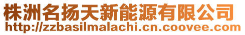 株洲名揚天新能源有限公司