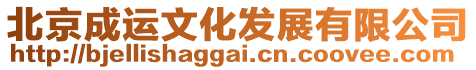 北京成運文化發展有限公司