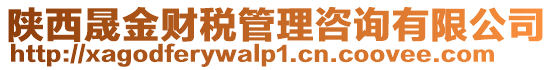 陜西晟金財稅管理咨詢有限公司