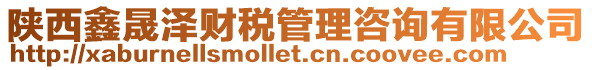陜西鑫晟澤財稅管理咨詢有限公司