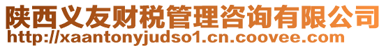 陜西義友財稅管理咨詢有限公司