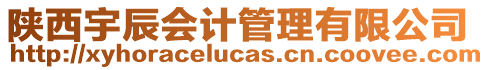 陜西宇辰會(huì)計(jì)管理有限公司