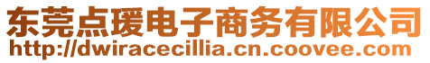 東莞點瑗電子商務有限公司