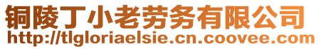 銅陵丁小老勞務有限公司