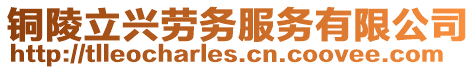 銅陵立興勞務服務有限公司