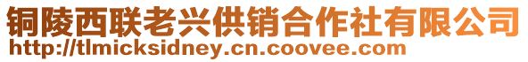 銅陵西聯(lián)老興供銷合作社有限公司