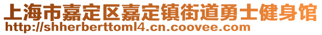 上海市嘉定區(qū)嘉定鎮(zhèn)街道勇士健身館