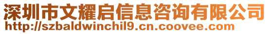 深圳市文耀啟信息咨詢有限公司