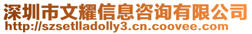 深圳市文耀信息咨詢有限公司