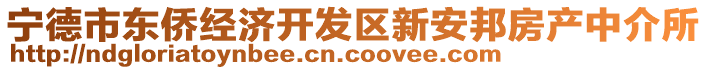 寧德市東僑經(jīng)濟開發(fā)區(qū)新安邦房產(chǎn)中介所