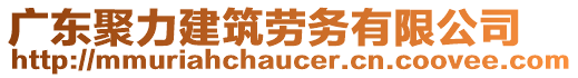 廣東聚力建筑勞務(wù)有限公司