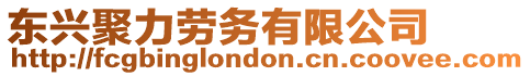東興聚力勞務有限公司