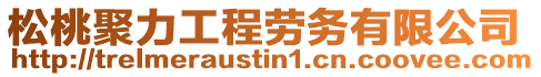 松桃聚力工程勞務(wù)有限公司