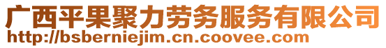 廣西平果聚力勞務(wù)服務(wù)有限公司