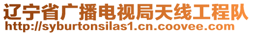 遼寧省廣播電視局天線工程隊