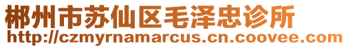 郴州市蘇仙區毛澤忠診所