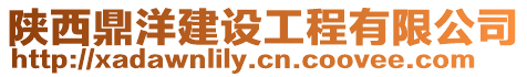 陜西鼎洋建設(shè)工程有限公司