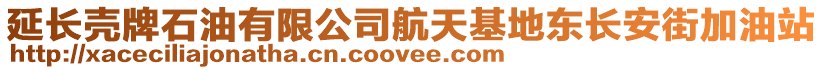 延長殼牌石油有限公司航天基地東長安街加油站