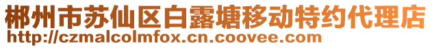 郴州市蘇仙區(qū)白露塘移動特約代理店