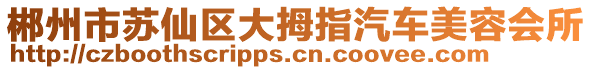 郴州市蘇仙區(qū)大拇指汽車美容會所