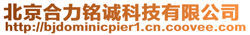 北京合力銘誠科技有限公司