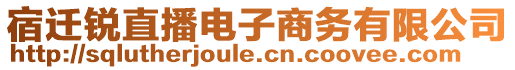 宿遷銳直播電子商務(wù)有限公司